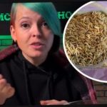 Ako si vybrať muštové rastliny a prekvapiť susedov úrodou: záhradník