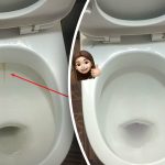 Jeden výrobok vybieli vašu záchodovú misu do žiarivého lesku: ako